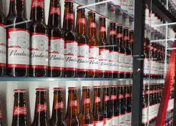 돌연 경기장  맥주금지…후원사들 ‘부글부글’