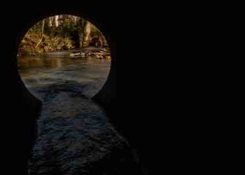 컬버시티 수도관 공사 중 유골 발견..타살 의심