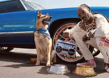 스눕독 새 사업은 ‘애완동물 악세사리’