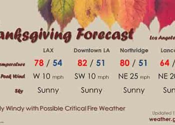 추수감사절 다소 더운 날씨..최고 82도까지