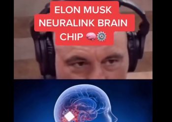 머스크 “내 머리에 컴퓨터 칩 심을 것”(영상)