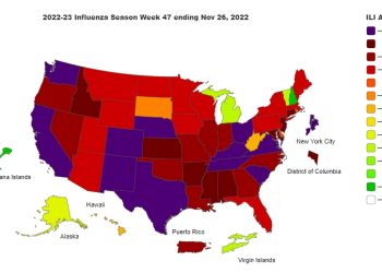 전국 독감 기승, 입원환자 10년 만에 최대..일주일새 2배 증가