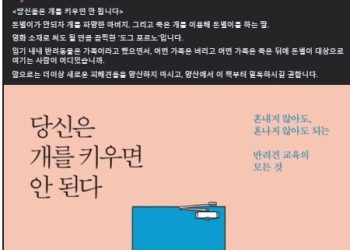 文 유기견 프로젝트에 “끔찍한 도그 포르노”