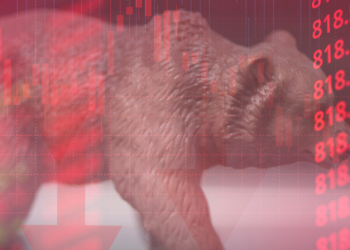 뉴욕증시, 내년 최종금리 상향에 일제 하락 마감