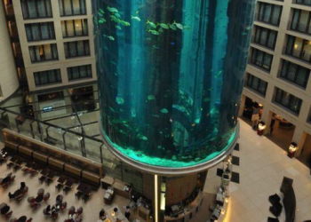 베를린 거대수족관 터져 100만리터 물 쏟아져(영상)