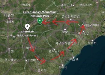 강제 이주 흑곰, 1600㎞ 떠돌다 고향 돌아와