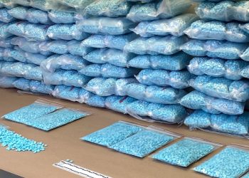 “어쩌다 이 지경”올해 펜타닐 3억8천만회분 압수