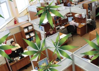 ‘마리화나∙상조휴가 차별금지’ 대폭 바뀌는 가주노동법