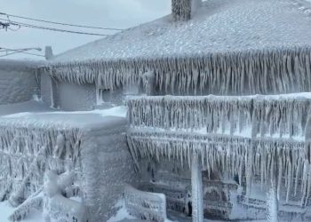 “1977년보다 더해” 뉴욕주서만 최소 27명 사망…”눈 12인치 더 올 것”