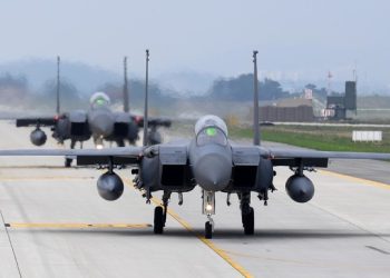 허둥대는공군, 무인기놀라 새떼에 전투기출격 해프닝