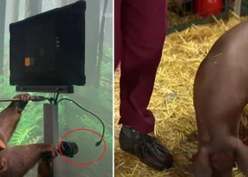 머스크 ‘뉴럴링크’, 실험동물 1500마리 떼죽음…조사 착수