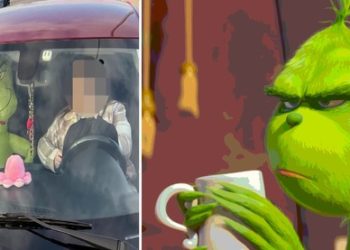 조수석 ‘그린치’ 태우고 카풀 차선 주행