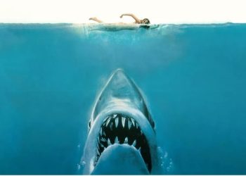 영화 ‘죠스’ 이후 상어사냥 급증…스필버그 “진심 후회”
