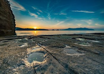 “공룡은 포유류 잡아 먹었다” 첫 증거 발견