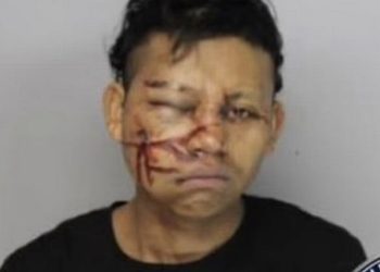 ‘나 홀로 집에’보는듯…성탄절 무장강도 빙판길 낭패