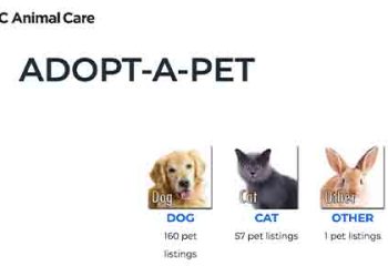 OC, 12월 애완동물 입양수수료 면제