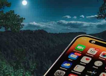 앤젤레스포레스트 절벽 추락, 아이폰 덕에 구사일생