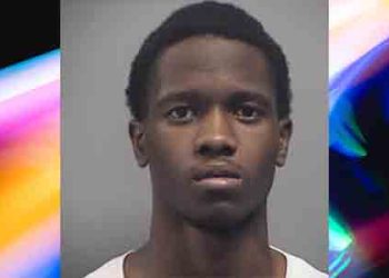 총기 뺏긴 카재킹 남성, 여성 운전자 총 맞고 사망