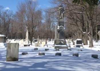 뉴욕주, ‘인간 퇴비화’ 법안 승인…”주검을 거름으로”