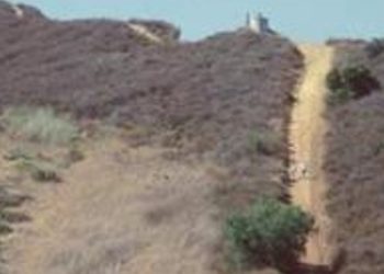 혼자 하이킹 OC 15세소녀 공원서 성폭행..어바인남성 체포