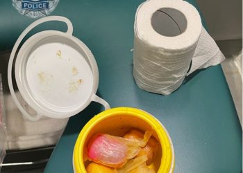 마약 밀수 이렇게까지?…초콜릿 캡슐에 코카인 숨겨