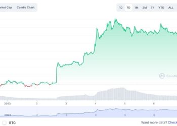 일주일새 40% 급등한 코인이 있다?