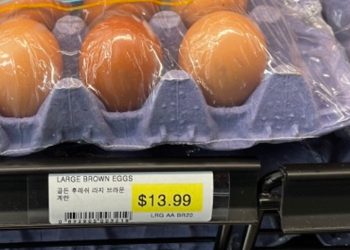 한인마켓 20개 한 판 14달러..코스코 계란품귀 기현상