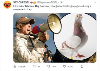 마이클 베이 감독, 비둘기 살해 혐의 기소