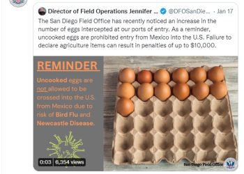 “티화나 계란, 반값도 안되는데”  계란 밀수 급증, 벌금 1만 달러..CBP경고