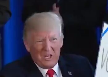 트위터 이어 페북·인스타도 트럼프 계정 복구 허용