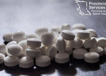 캐나다 31일부터 마약소지 합법, 3년간..코카인∙필로폰∙엑스터시