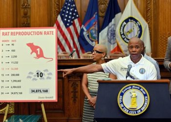 “뉴욕시는 쥐가 문제다. 농담 아니다”..시장도 쥐 벌금 3차례 부과받아