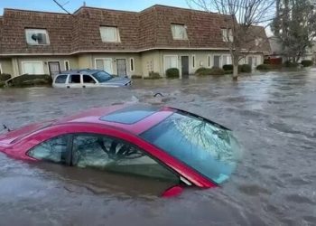 “캘리포니아 맞아?” 역대 최대 강우량, 3주간 90조 리터 쏟아져, 20명 숨져(영상)