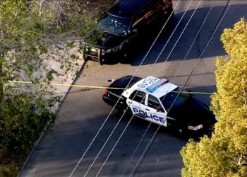 플로리다서 대낮 길거리 총기난사…10명 중경상