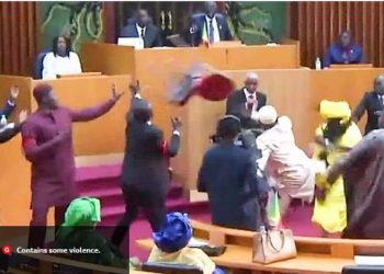 의회 난투극 중 임신 여성의원 배 발로 차