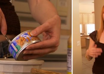 ‘가장 궁핍한 백만장자’…고양이 캔 먹으며 생활