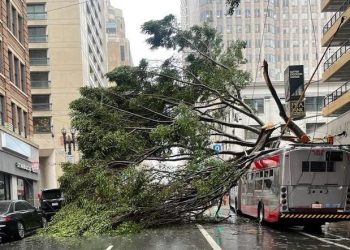 캘리포니아 물폭탄 겨울폭풍 사망자 눈덩이 17명  “비 더 온다”