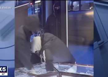 뉴욕서 38초 만에 200달러 보석 훔치고 달아나