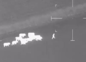 경찰 쫓기던 용의자, 소떼 몰려오자 투항(영상)