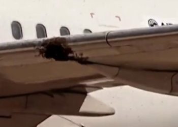 모여든 벌떼 때문에…결국 항공편 취소