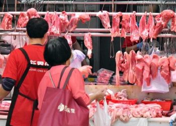 돼지 도살하려던 정육점 주인, 돼지 몸부림에 사망