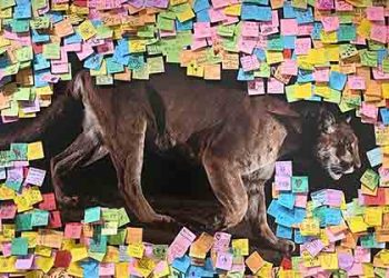 마운틴 라이온 P-22 추모 행사.. 2월 4일 그리피스팍