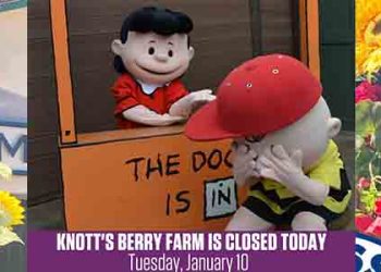 “놀이공원, 오픈 확인부터”