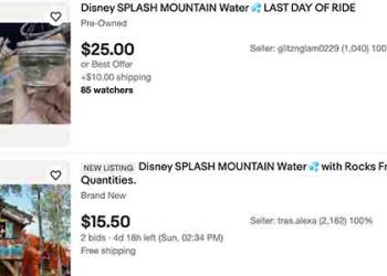 운영 중단 스플래시마운틴 타다 튄 물 25달러