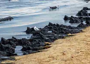 오폐수 대량 유입..남가주 해변 폐쇄