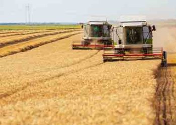 유제품·설탕 가격 상승..식량가는 9개월째 하락