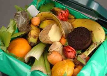 LA시 2024년부터 음식물 쓰레기 분리수거 의무화…위반시 최대 500달러 벌금
