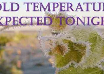 30도까지 기온 급강하…LA 카운티 한파주의보