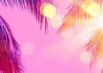 캘리포니아주 색깔이 핑크라고??