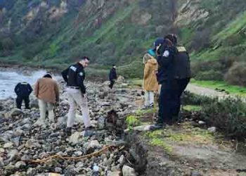 팔로스버디스 해안가 사람뼈 발견…검시국 인골 확인